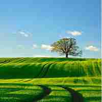 定​制‌网﻿站﻿排﻿名﻿工‍具﻿怎​么‌用﻿